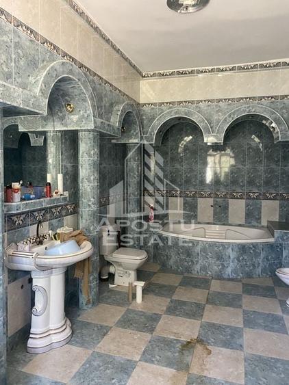 Doua case in aceeași curte - 11