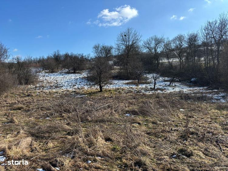 Teren intravilan Suceagu - 4