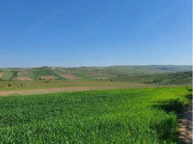 Cota de 1/2 din teren extravilan, comuna Rogova, Jud Mehedinti - 3