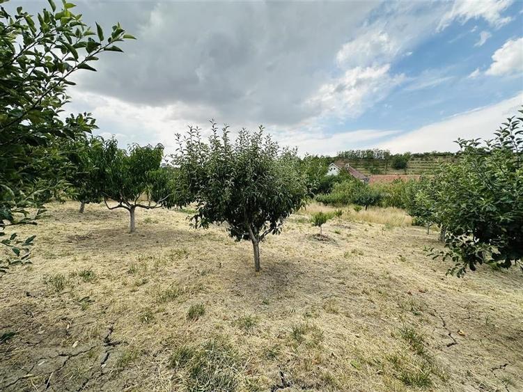 CASA P+M | TEREN 2200 MP | STRADA SOFIEI | ZONA DEALURI - 22