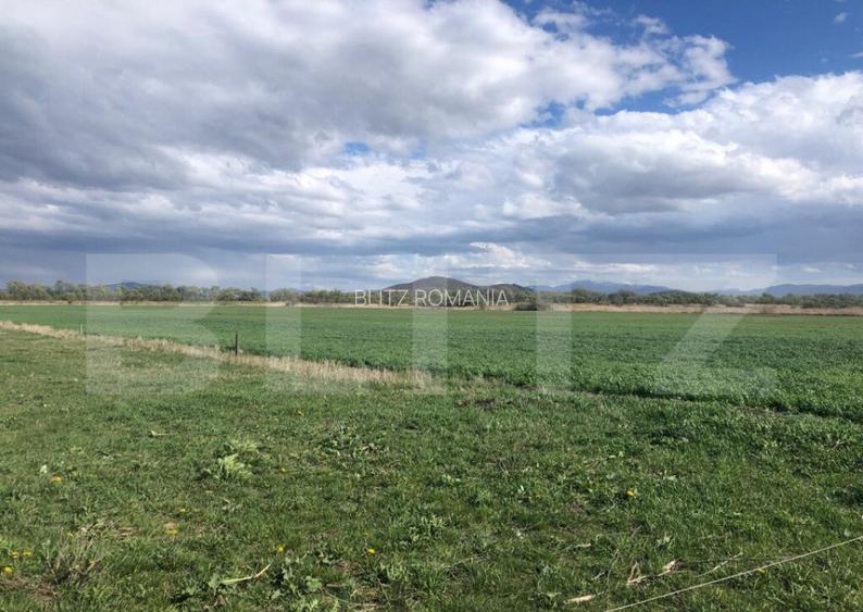De vanzare teren extravilan 50.000 mp De vanzare teren extravilan 50.000 mp