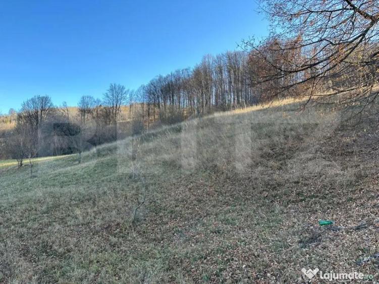 Teren intravilan, Buc?oaia - Frasin, 10000 mp - 4