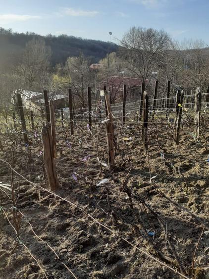 Casa si teren Buhea de Jos, Prahova - 2