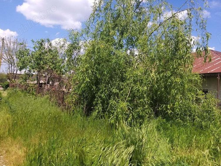 Casa de vanzare - Calugareni , Hulubesti - 4