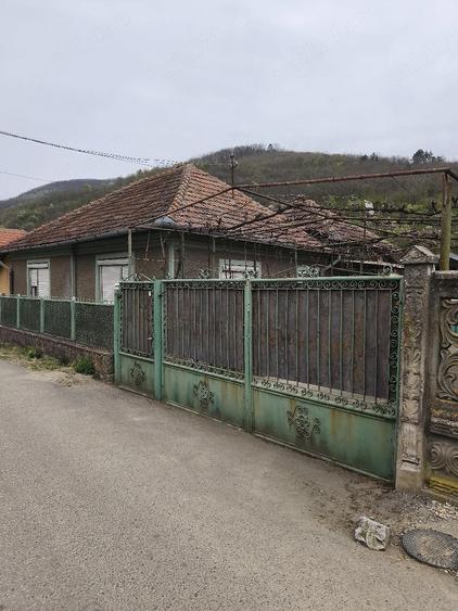 Vind casa la Banpotoc! - 1