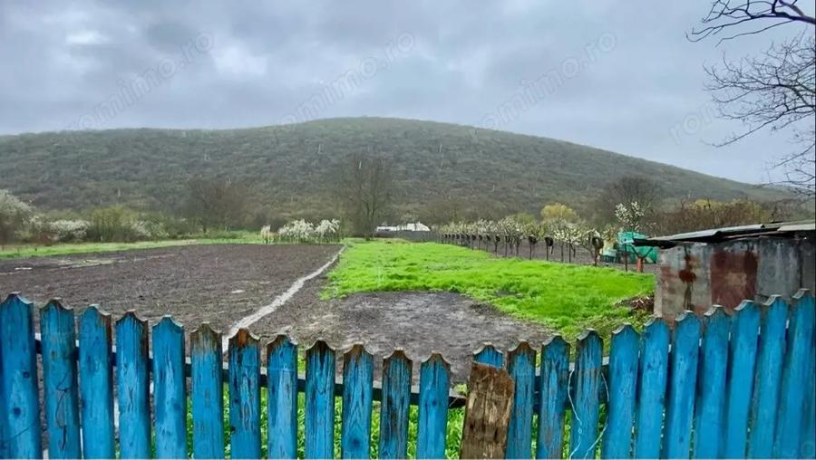 Casa de Vanzar?i 2000 mp - 5