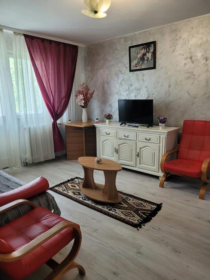De inchiriat ap cu 2 camere in cartierul Florilor - 14