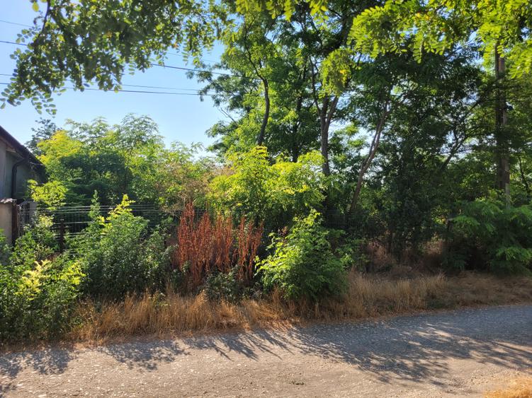 Teren intravilan intre case - 2079 mp - Movilita - 2