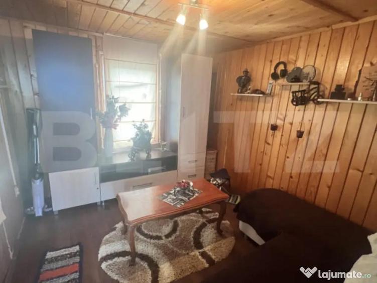 Cabana de lemn- Vatmani - 5