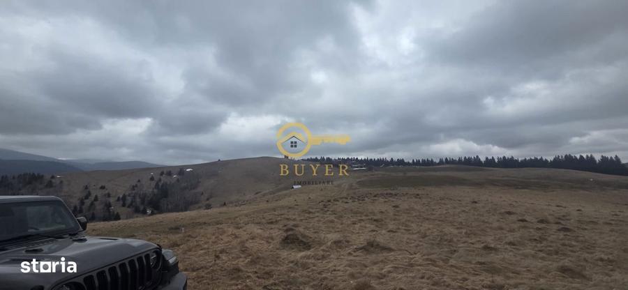 Teren investitie Paltinis - 7