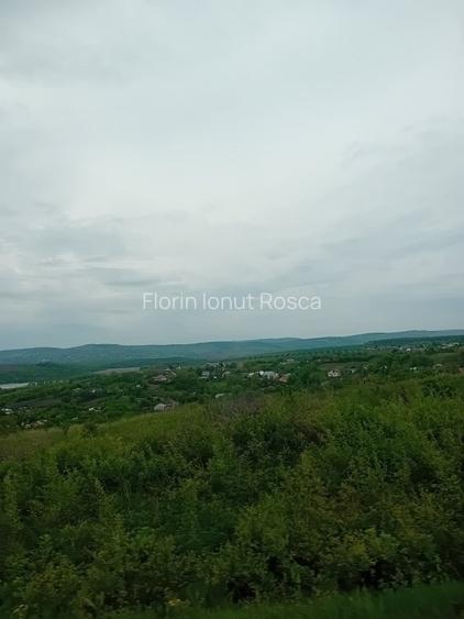 Teren 10300 mp, intravilan, Vladiceni