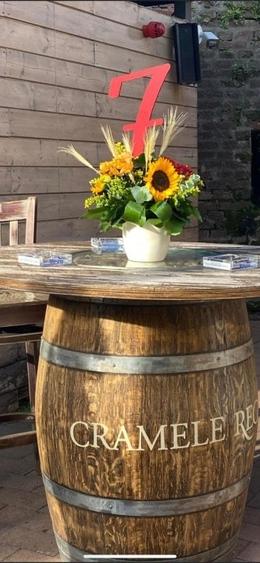 Proprietate exclusivista ideala ca proiect pentru investitie!! - 10