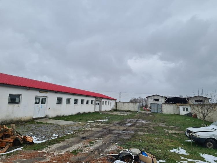 Oportunitate Unica: Teren Intravilan cu Hală de productie și Casă Modernă - 3
