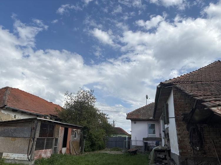 Casa de vanzare , Petroasa Mare , la 15 minute de orasul Lugoj - 1