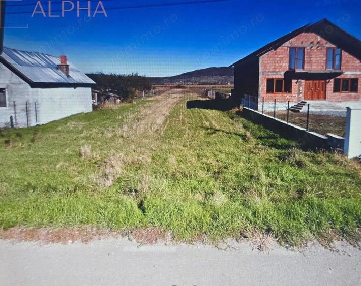 Teren intravilan de vanzare - Chintelnic, Jud. Bistrita-Nasaud - 3