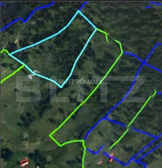 Padure 1,42 hectare in Poiana Ilvei