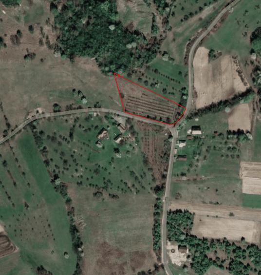 Berinta, teren intravilan, 5800 mp, 2 500€/ar -145 000€ - 1