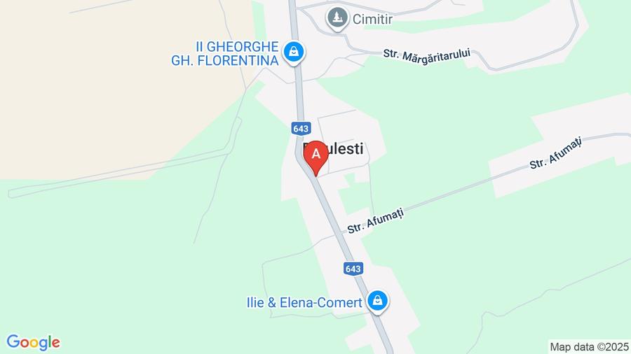 Ocazie! Proprietar vând casă cu 7 camere în Diculești, teren 2267 mp - 3