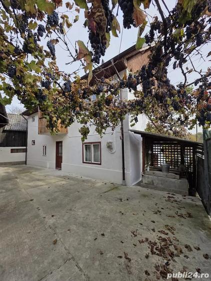 De vanzare ! 2 Case + Livada - 1