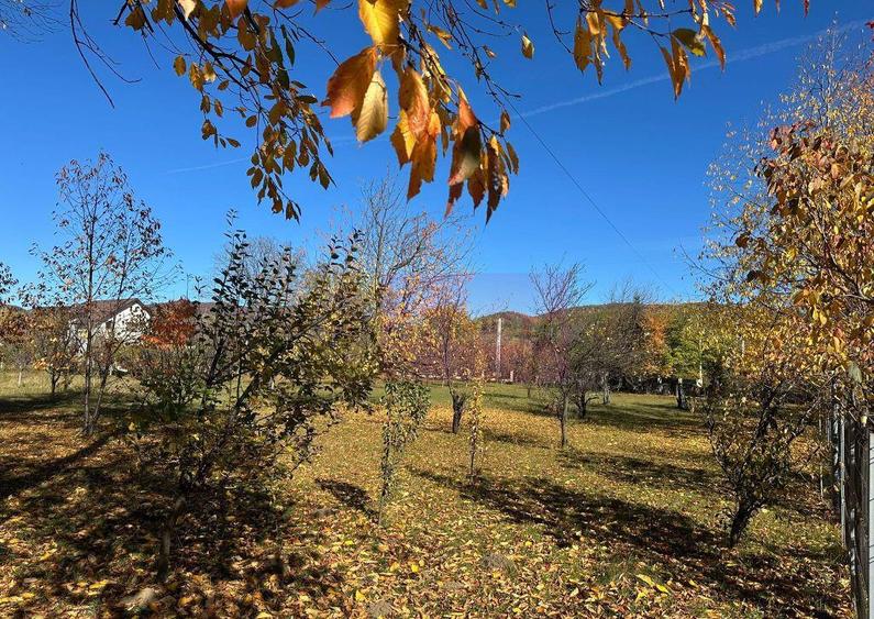 Teren intravilan de vanzare in Brebu (zona foarte linistita) - 2