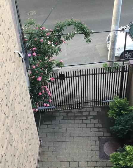 Vila 5 camere  | COTROCENI  | Curte 80mp | Garaj - 4