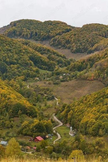 Cabana de vanzare - 1