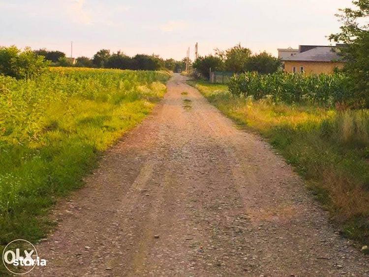 Teren intravilan de vanzare Ciofliceni | Ghermanesti | Snagov - 4