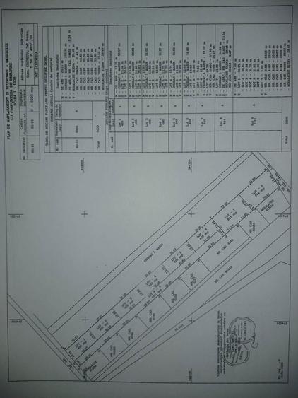 Vand teren intravilan loturi 400 mp CREVEDIA-DARZA 2km de Buftea - 4
