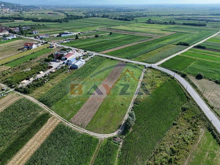 Teren intravilan de vânzare - 4300 mp | Deschidere generoasă | Fărcașa, MM - 4