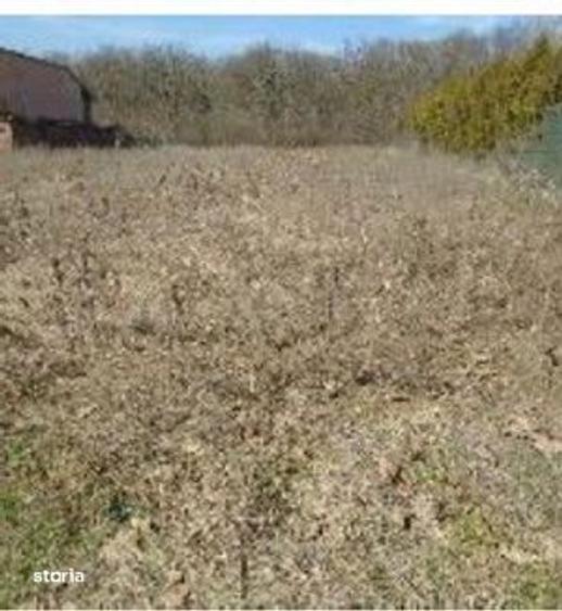 Teren Ganeasa, cota parte 1/2 ; ID: R2928516 - 6