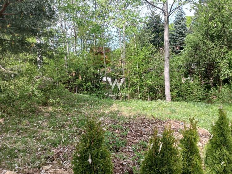 Teren Extravilan situat la intersectia DN1 cu Transfagarasan - 4