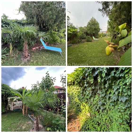 Oradea casa situata central pentru afacere sau locuinta