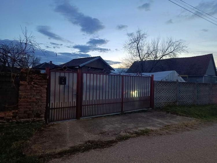 Vand casa si teren in satul Petreni, comuna Bacia - 7