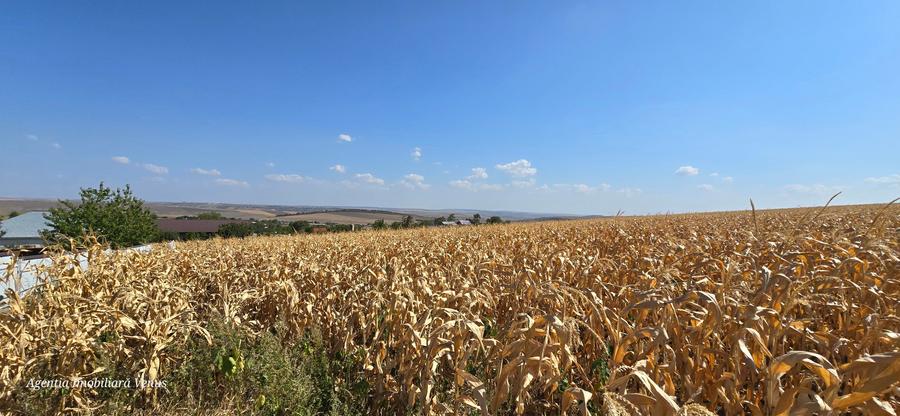 Loc de casa la Zaicesti - 1