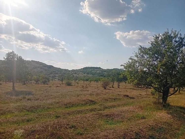 Spațiu comercial, în Filipeștii de Pădure