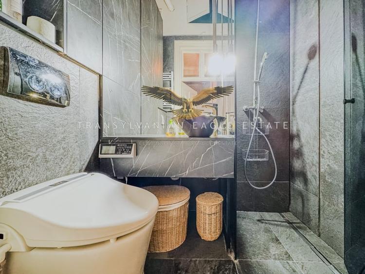 Locuinta situata in zona centrala din Piata Muzeului - 13