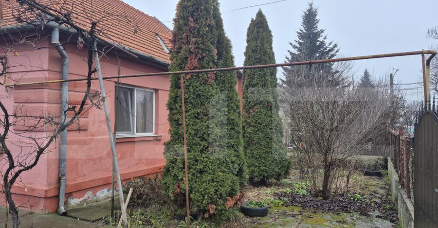 Casa 4 dormitoare, 190 mp, 1306 mp teren, zona Careiului - 1