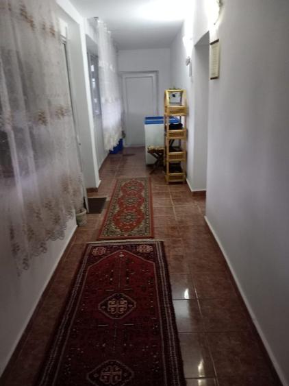 Vand casa Zimandu Nou - 5