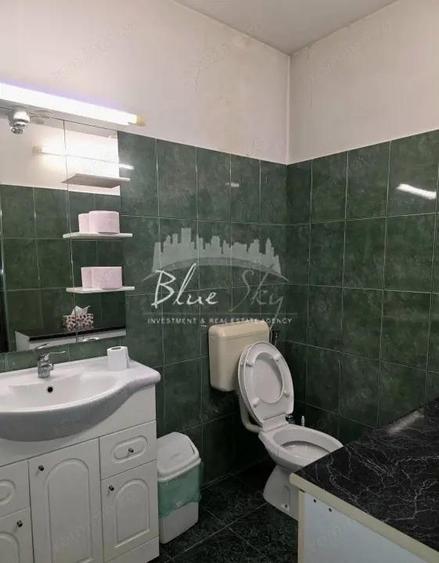 Spatiu pentru birouri, Centru-Str. Stefan Mihaileanu - 10