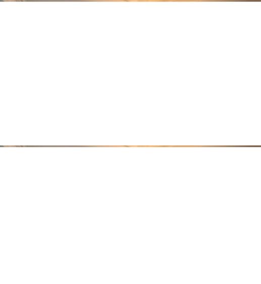 Proprietar Vand casa in Sacalaz individuala premium - 2