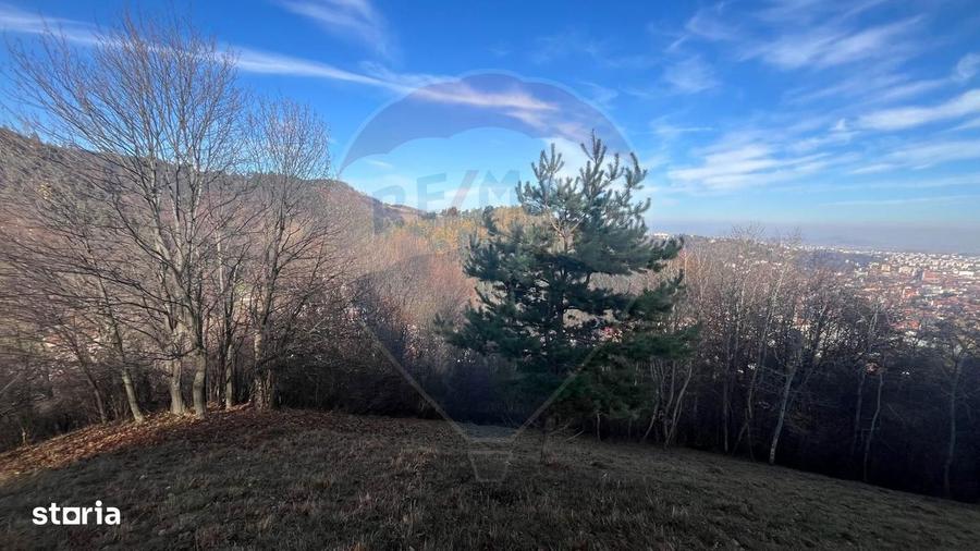 Teren Colinar Panoramic 17.684 mp in Scheii Bra?ovului - 6