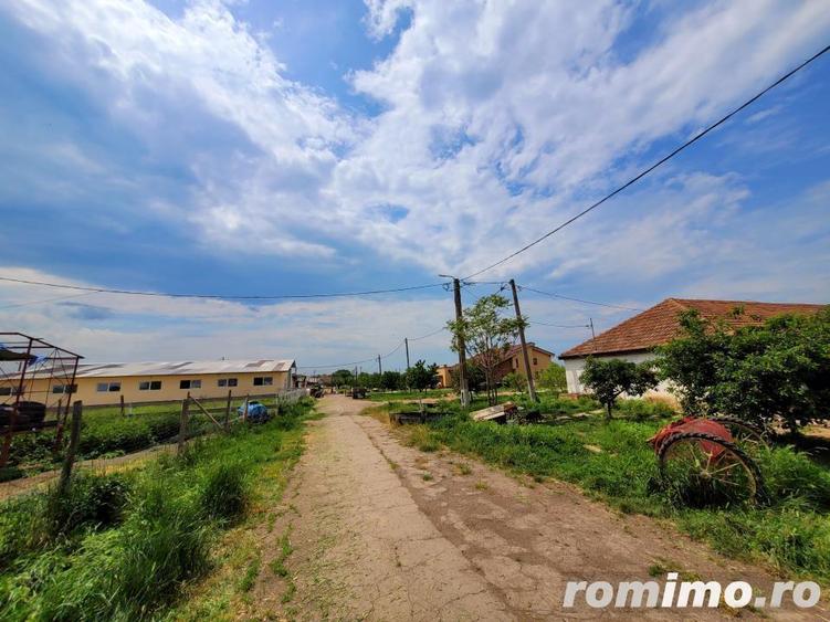 Domeniu, 9,5 ha, 25 KM de Timisoara - 2