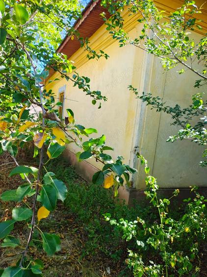 Casa de vanzare +loc +anexe - 2