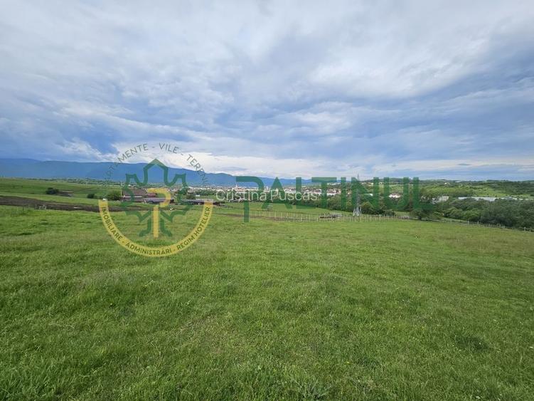 Teren 1.450 mp intravilan, cu priveliște – Cisnădie, Sibiu