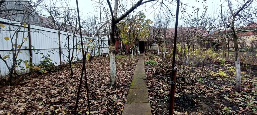 Casa cu gradina langa Cetatea Harman - 4