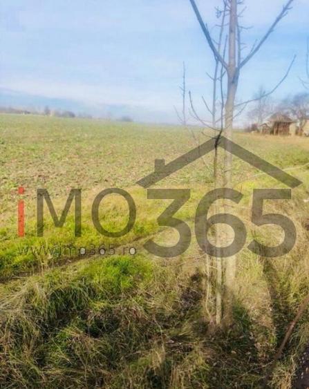 Casa demolabila si teren 3758mp intravilan Rociu Gliganu - 4