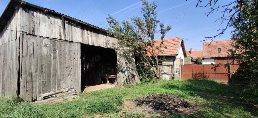 Casa gospodarie in Belint - 9