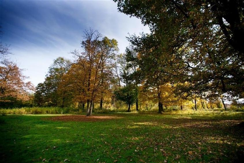 De vanzare Domeniu Baronial SAT CIL - 4