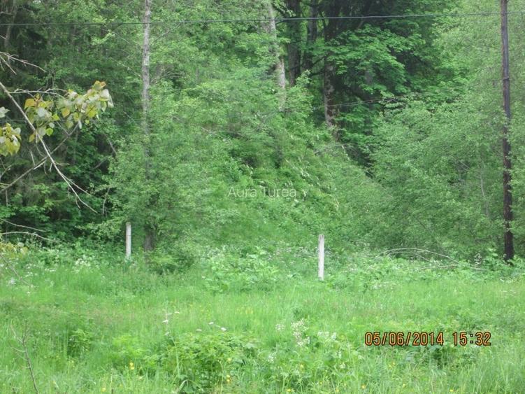 Teren intravilan in Predeal,Valea Rasnoavei Teren intravilan in Predeal,Valea Rasnoavei