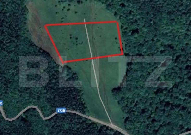 Teren extravilan de vanzare, 2,4 hectare, zona drumul Tarpiu - 1